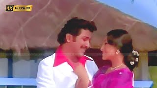 Download Lagu இல்லம் சங்கீதம் அதில் பாடல் | Illam Sangeetham Athil song | Spb, Vani Jairam | Avan Aval Adhu . MP3 Download Lagu இல்லம் சங்கீதம் அதில் பாடல் | Illam Sangeetham Athil song | Spb, Vani Jairam | Avan Aval Adhu . MP3