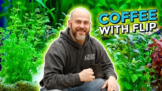 Ep. 28 Plant Propagation for Freshwater Aquariums - Coffee With Flip [Aquarium Podcast]