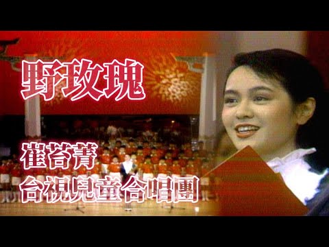 崔苔菁.台視兒童合唱團－野玫瑰