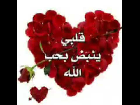 توكلت في رزقي على الله خالقي