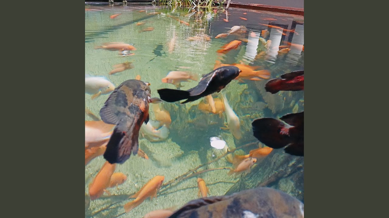 Music between raindrops