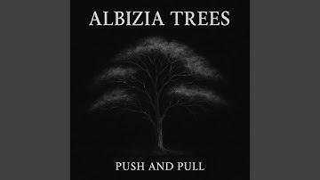 Albizia Trees