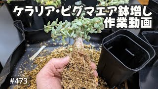 vlog: 473 