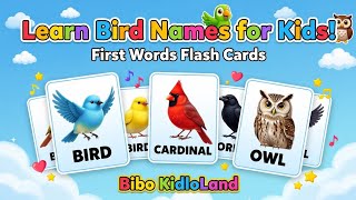 تعلم أسماء الطيور للأطفال! 🦜🦉 بطاقات تعليمية للكلمات الأولى | بيبو كيدلولاند screenshot 5