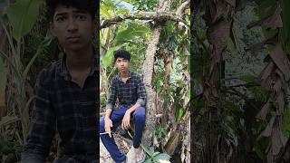 বন্ধু ধরা খাওয়াই দিলো #shorts #funny #comedy #dalimsharma #youtubeshorts #trending