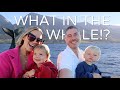A WHALE OF A DAY! HAWAII VLOG