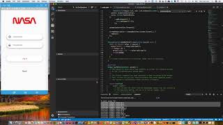 Flutter Quirk - MediaQuery Is Zero On Release Mode
