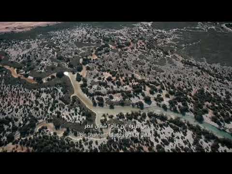 قصة علم دولة قطر لدعم المصدر قطر نيتورك