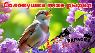 Formatia Curnut (Группа Курнуц) - Соловушка тихо рыдал - КАРАОКЕ #курнуц #курнуц караоке