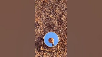 The perfect loop doesn’t exist