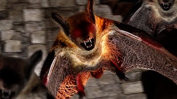 Vampire Bat Swarm | Beneos DnD Tokens, Spells & Loot