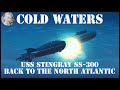 Cold Waters Gameplay - Viewer Choice - USS Stingray - North Atlantic #14