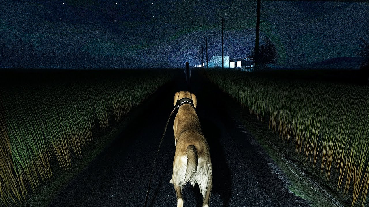 어두운 밤에 강아지와 산책을 하는 공포게임 (탄보/たんぼ)