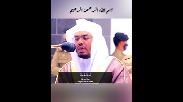 سورة الإخلاص - الشيخ ياسر الدوسرى