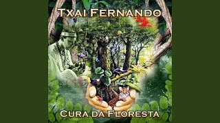 Miniatura de "Txai Fernando - Divina Força"