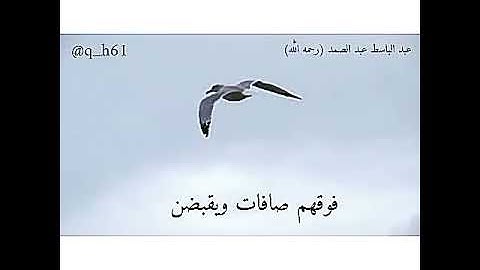 من نوادر التلاوات للشيخ عبد الباسط محمد عبد الصمد (رحمه الله)