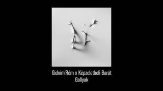 Gidnim'Rém x Képzeletbeli Barát - Gallyak [Album Stream]