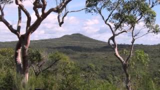 Brisbane Water National Park, Central Coast NSW