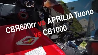 CBR600rr vs APRILIA TUONO vs CB1000