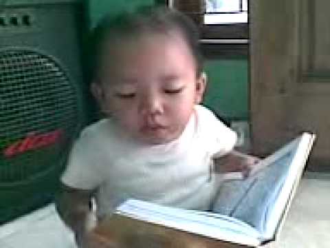 Quran Explorer