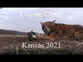 Trapping For a Week in Kansas: Coyote Camp, 2021