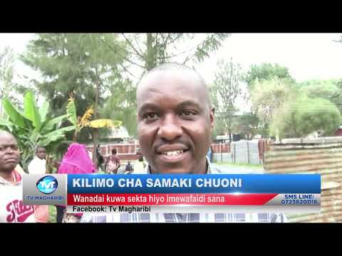 Video: Mboga za Aquaponic: Jifunze Kuhusu Mboga Zinazokua na Samaki