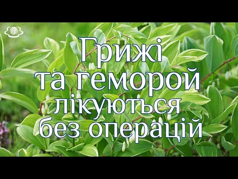 Грижі та геморой лікуються без операцій