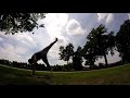 Mestre chorao na holanda 2017  movimentos e acrobacias de capoeira