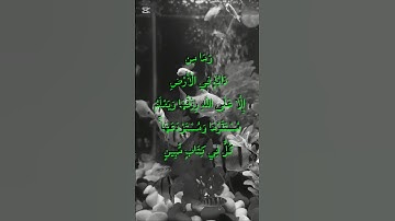 ✨ تلاوة خاشعة لسورة هود الآية 6 | الرزق على الله وحده ✨