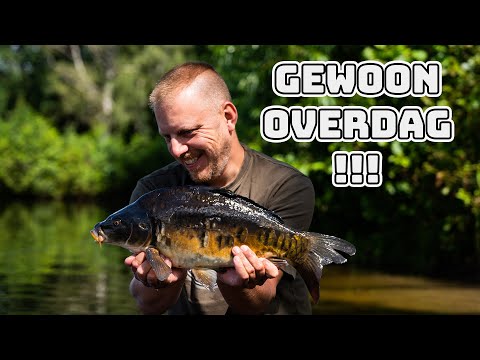 Video: Hoe Karper Te Vangen In De Zomer?