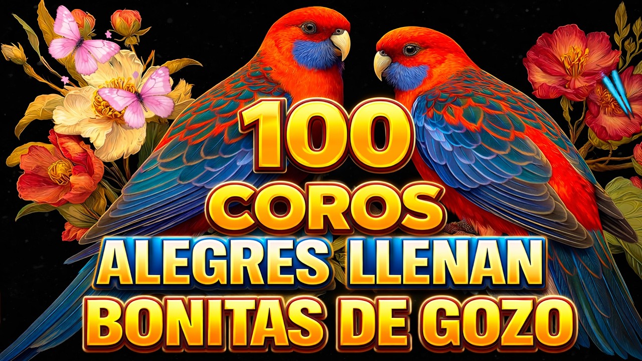 🕊️ Música de Alabanza Pentecostal 🕊️ Coros Pentecostales 🕊️ Mas De 50 Coros Avivamiento Pentecostal