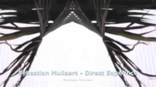 Sebastian Mullaert - Direct Experience (Remake) Traum 184