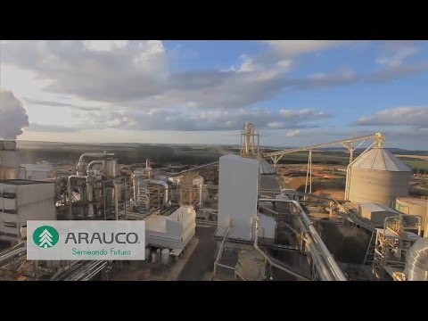 ARAUCO Fabricação MDF