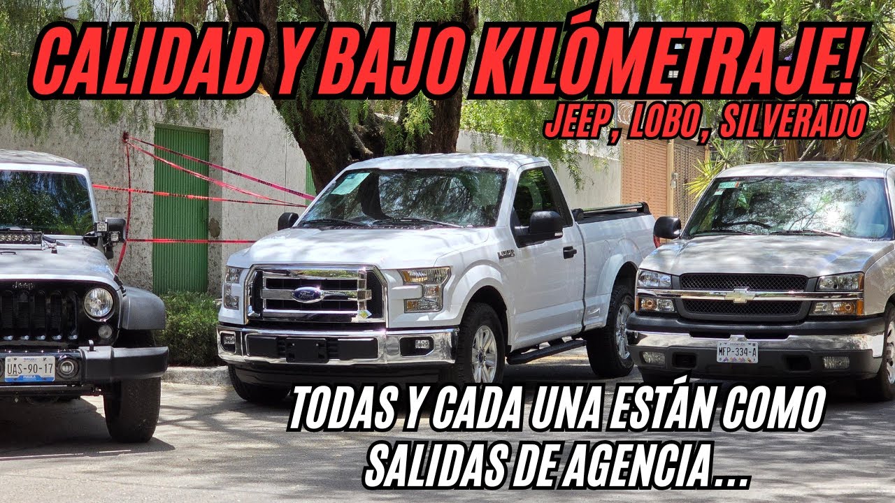 Mejores Qué Sacar Una de Agencia! Calidad de Cazadores de Clásicos, Lobo, Jeep, FX4, Silverado...