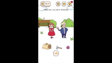 Brain Find Level 17 Help me, my cat is missing Answers and Solutions