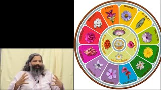 The Mothers Symbol (4): Goodness, Generosity, Equanimity & Peace with Sraddhalu
The Mothers Symbol Part 4: Goodness, Generosity, Equanimity & Peace with Sraddhalu Ranade comes from a talk he gave at an Integral Yoga Retreat in South Carolina, USA in late June of 2018. In this fourth talk of the series he continues the discussion of the twelve petals of the outer circle. The first group of the outer circle he previously discussed being: sincerity, humility, gratitude and perseverance and these set the foundation for the second group of qualities: aspiration, receptivity, progress and courage. In the final talk of the series he discusses the powers of the last four petals of the outer circle, these being: goodness, generosity, equanimity and peace. The Mothers Symbol (4): Goodness, Generosity, Equanimity & Peace with Sraddhalu