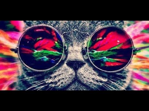 Fuente - Musica psicodelica de fondo para vídeos sin copyright - https://www.youtube.com/watch?v=zp8UtA1hdlw