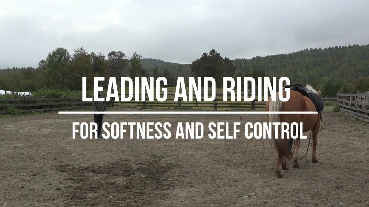 Leading and riding - for softness and self control