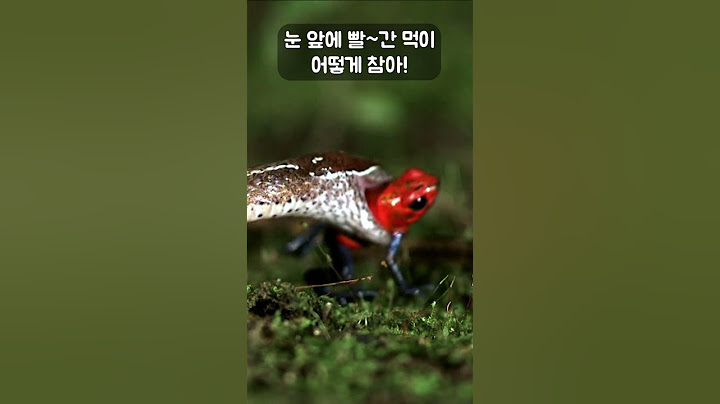 유혹을 못참고 맹독 개구리를 삼켜버린 뱀 #골라듄다큐 #shorts