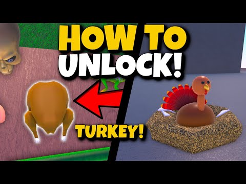 Video: How To Get To Turkey