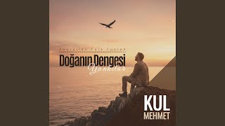 Doğanın Dengesi - Yankılar Resimi