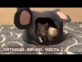 Пятница. Вечер. Часть 2. #крысы #rats 