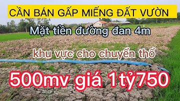 ❤ BÁN 500m Đất Vườn Đường Xe Hơi | Sổ Hồng Riêng | Sổ Hiển thị lối đi 3m .