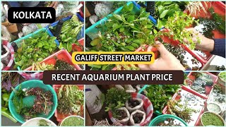 Recent Aquarium Plant Price In Galleef Street Market । Planted Aquarium । Pets Vlogger by Pets Vlogger 268 views 1 year ago 5 minutes, 36 seconds