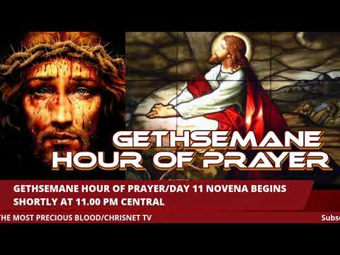 PRECIOUS BLOOD: Gethsemane Hour Of Prayer/July Novena For The 12 Tribes Of Israel- Day 11