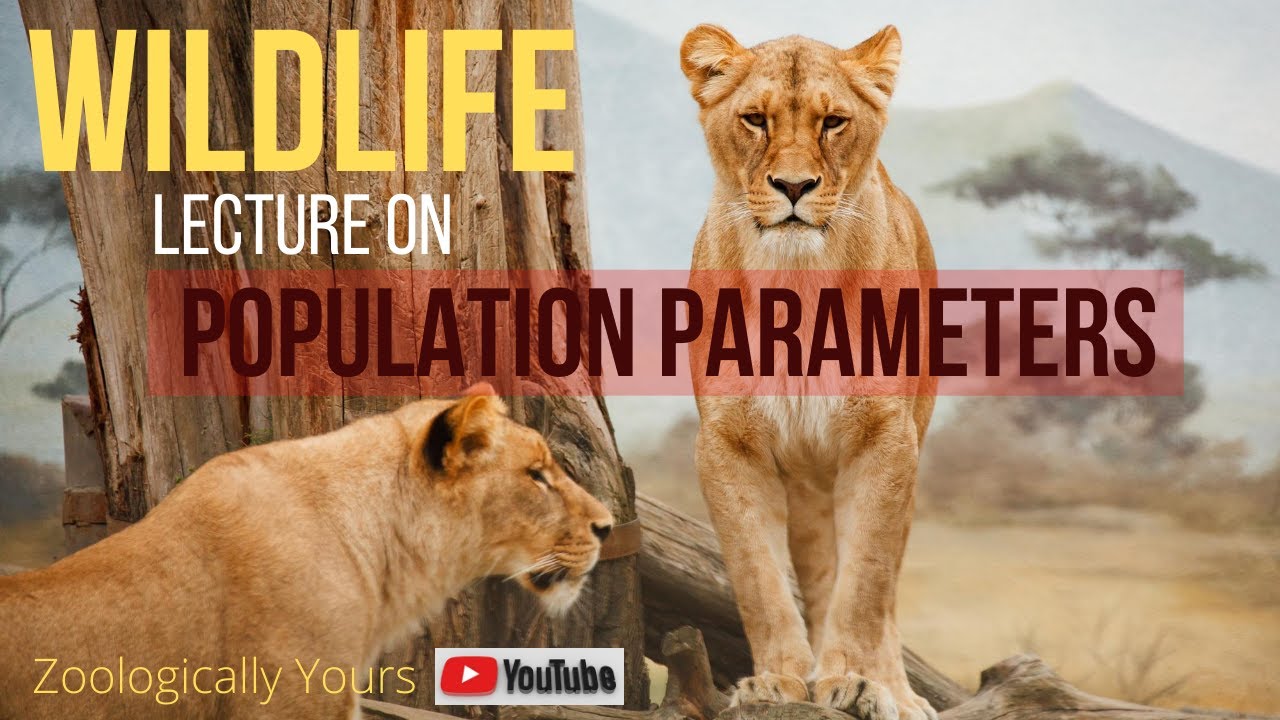 Wildlife (Population Parameters) YouTube