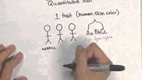 Group F16-22||BIO 1510 Module 2: Patterns of Inheritance