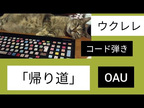 ウクレレコード弾きタブ譜つき「帰り道」OAU