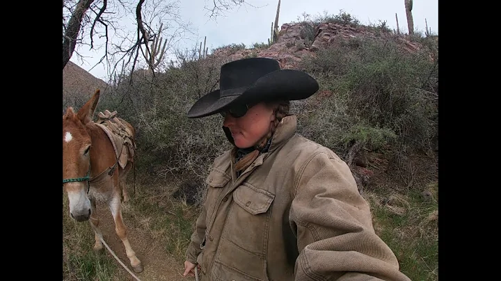 We Had A Big Wreck Riding In The Superstitions!