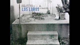 Video thumbnail of "Los Lobos - Volver, Volver [Live]"